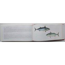 365 fisk (alverdens spisefisk)
