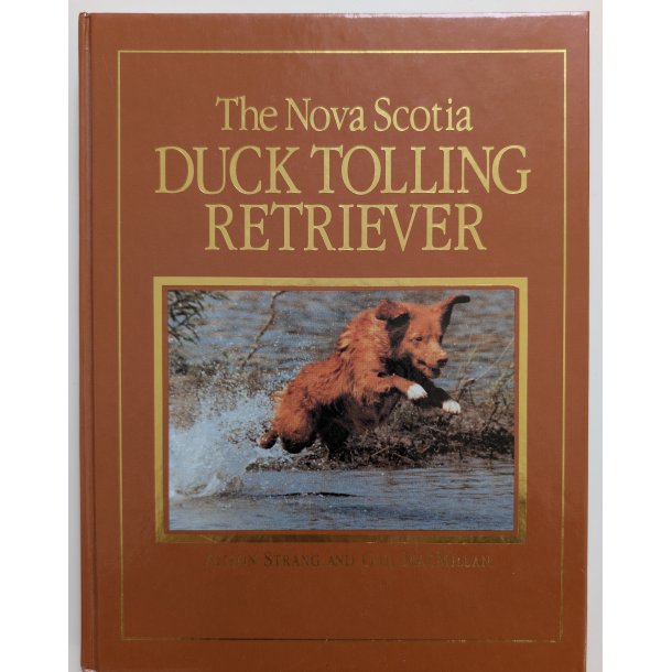 The Nova Scotia Duck Tolling Retriever