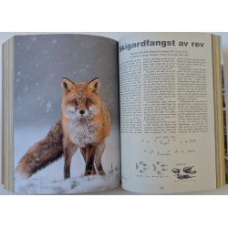 Mountain Man - bli en bedre pelsjeger