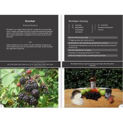 Naturvejlederens kogebog