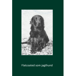 Flatcoated som jagthund 