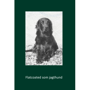 Flatcoated som jagthund 