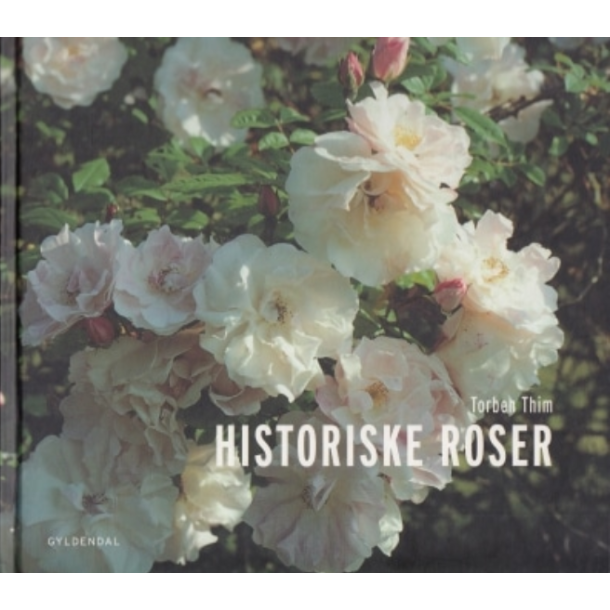 Historiske roser