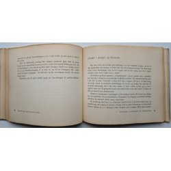 Fra Gr�sstr� til Fiskestang - Splitcane-stangens Konstruktion og Problemer