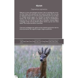 Naturvejlederens kogebog