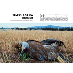 Sneppe og sneged - jagtoplevelser i fire verdensdele