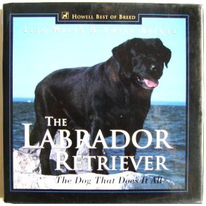 The Labrador Retriever, the Dog that Does it All