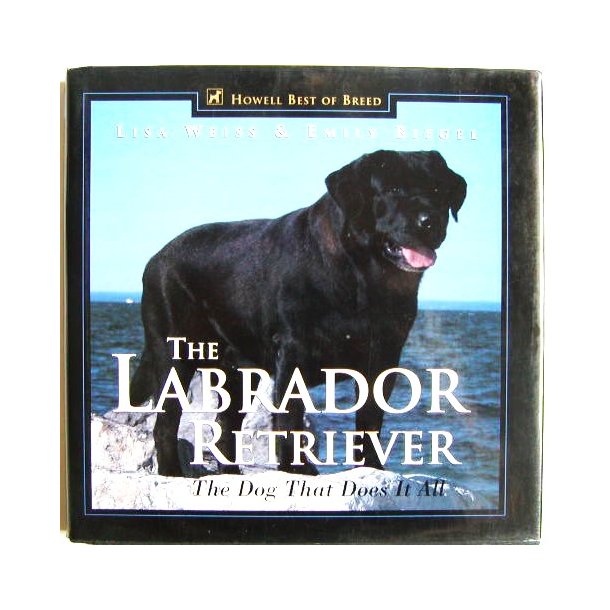 The Labrador Retriever, the Dog that Does it All