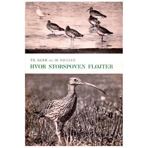 Hvor Storspoven fljter