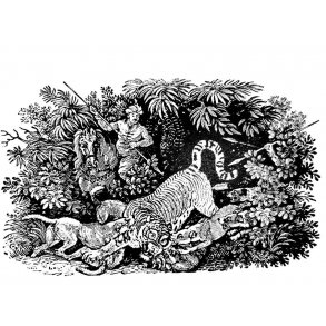 Jagt og vildt, Asien