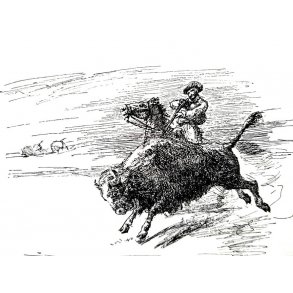 Jagt og vildt Amerika