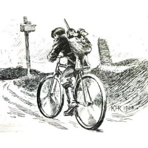 Alt om gravhunde og terriere