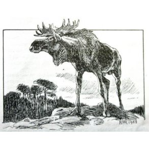 Jagt og vildt, Skandinavien