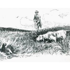 Alt om jagt med stående hund