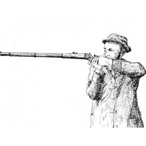 Nye danske våbenbøger