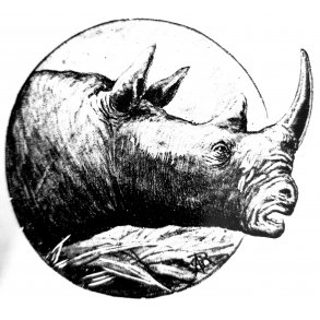 Storvildtfangst til zoo