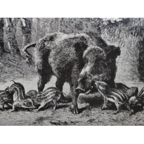 Jagt og vildt, vrige udland